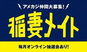 稲妻メイト